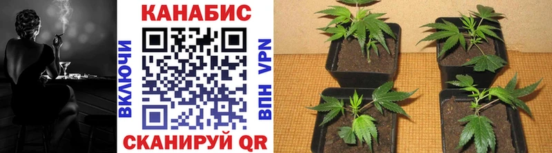 Купить ГАШ  А ПВП  Мефедрон  Благодарный
