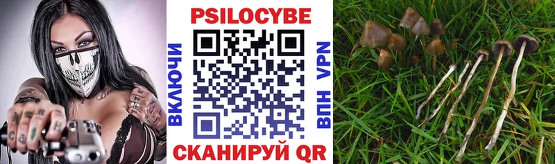 Галлюциногенные грибы мухоморы Благодарный